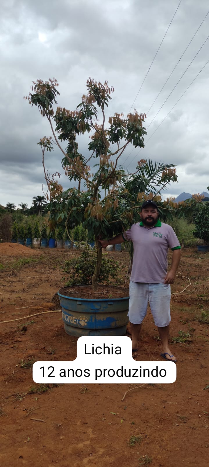 lichia-12anos